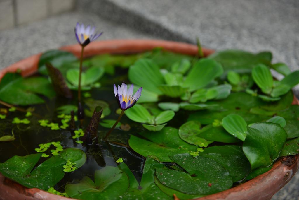 花蓮快樂腳旅宿 화롄 외부 사진